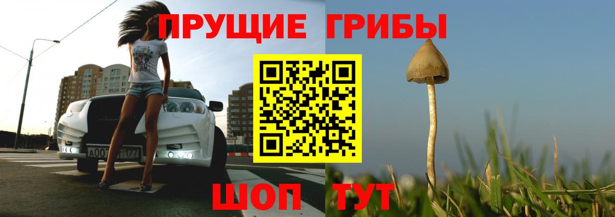 Псилоцибиновые грибы прущие грибы Белорецк